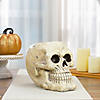 11" Ivory and Black Halloween Skull Tabletop Decoration Image 1