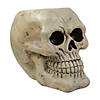 11" Ivory and Black Halloween Skull Tabletop Decoration Image 1