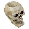11" Ivory and Black Halloween Skull Tabletop Decoration Image 3