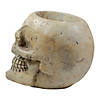 11" Ivory and Black Halloween Skull Tabletop Decoration Image 4