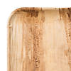 11" Square Palm Leaf Eco Friendly Disposable Dinner Plates (100 Plates) Image 1