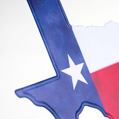 12" Metal Embossed Hanger: Texas Flag Image 2