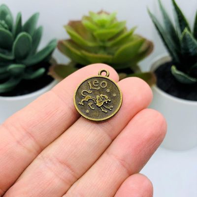 12 Pcs Bronze Zodiac Coin Charm Set Image 2