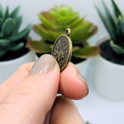 12 Pcs Bronze Zodiac Coin Charm Set Image 3