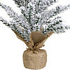 12" Unlit Artificial Flocked Mini Pine Christmas Tree with Jute Base Image 1