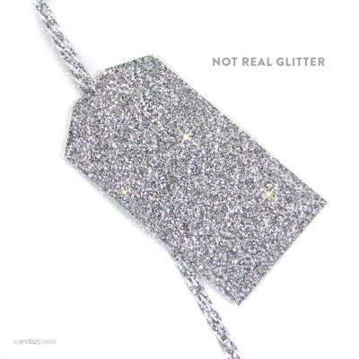 12PC Classic Tags Solid Silver Glitter Image 1