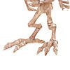 13.5" Owl Skeleton Decoration Image 1