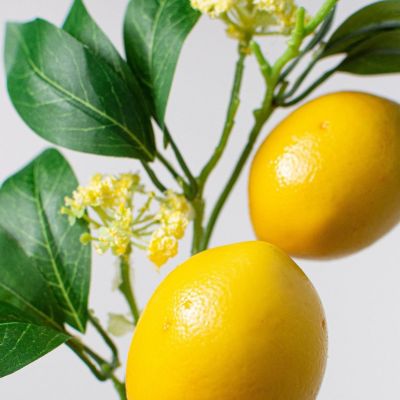 13" Lemon Leaf Spray Image 1