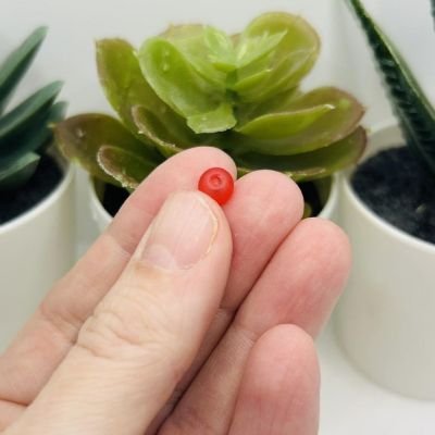 140 Pcs 6mm Red Frosted Beads Image 2
