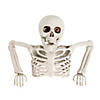 15 3/4" x 10 3/4" Tabletop White Plastic Half Skeleton Halloween Decoration Image 1