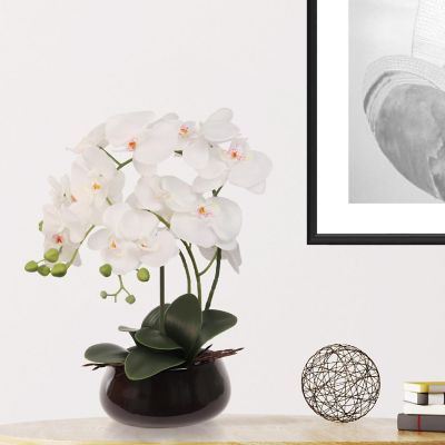 15" x 9" White Phalaenopsis Orchid - 12 Image 1