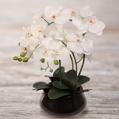 15" x 9" White Phalaenopsis Orchid - 12 Image 2