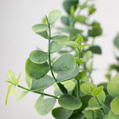 16.5" Eucalyptus Bush Image 1