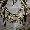 16.5" Lightup Skeleton Halloween Wreath Image 2