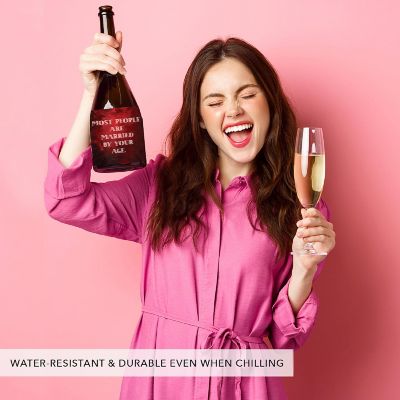 16 PCS Anti-Valentines Funny Wine Labels Image 1