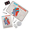 17" x 11" STEM Heart Circulation Activity Learning Challenge Craft Kit - Makes 12 Image 1