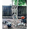 18" LED Spooky Skeleton Groundbreaker Plastic Halloween Decoration Image 2