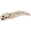 19 1/2" Skeleton Eel Prop Image 1