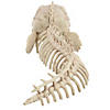19 1/2" Skeleton Eel Prop Image 1