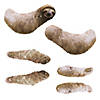 19 1/2" Wild Encounters Sloth Jointed Cutouts - 2 Pc. Image 2