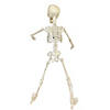 19" Poseable Skeleton Decoration Image 1