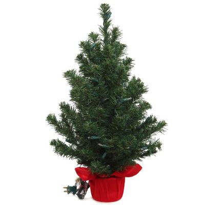 2' Northern Spruce Tree with Red Cloth B Image 1