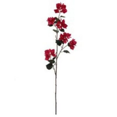 2-Pack: Fuchsia Bougainvillea Spray Image 1