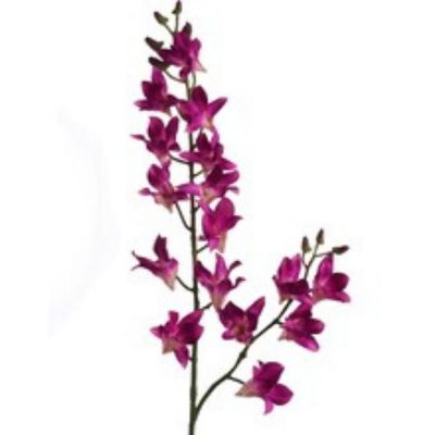 2-Pack: Real Touch Purple Dendrobium Image 1