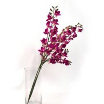 2-Pack: Real Touch Purple Dendrobium Image 1