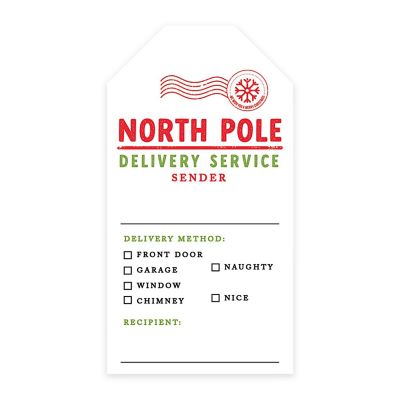20 North Pole Delivery Service Name Image 1