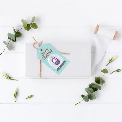 20 OWL IN SNOW GLOBE CHRISTMAS TAGS Image 1