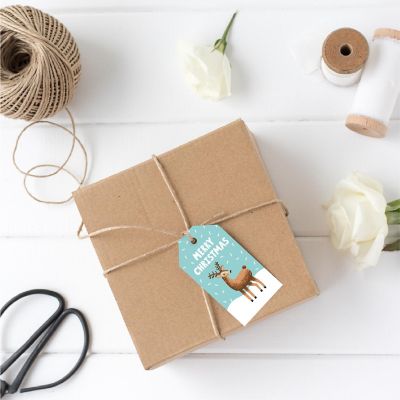 20 Pcs Christmas Deer Aqua Snowflake Tag Image 1