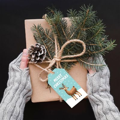 20 Pcs Christmas Deer Aqua Snowflake Tag Image 2