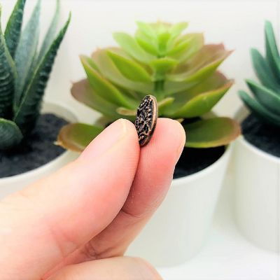 20 Pcs Flower Button Connector Charms Image 3