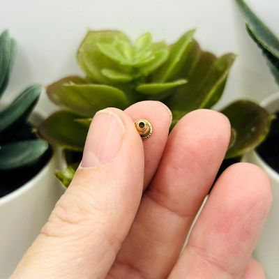 20 Pcs Gold Earring Backs Image 3