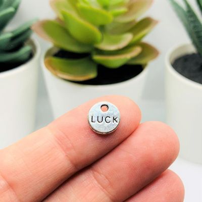20 Small Silver Irish Luck Charms Double Sided Image 1