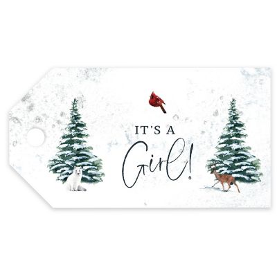 20PC Tags It's a Girl! Image 1
