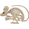 21.5" Rat Attack Skeleton Decoration Image 2