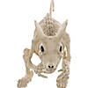 21.5" Rat Attack Skeleton Decoration Image 3