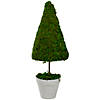 21" Reindeer Moss Potted Artificial Spring Floral Topiary Tree Image 1