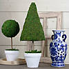 21" Reindeer Moss Potted Artificial Spring Floral Topiary Tree Image 1