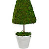 21" Reindeer Moss Potted Artificial Spring Floral Topiary Tree Image 2