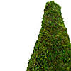 21" Reindeer Moss Potted Artificial Spring Floral Topiary Tree Image 3