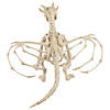23" Skeleton Dragon Prop Image 1
