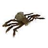 24&quot; Brown Floating Spider with LED Eyes Halloween Decoration Image 2