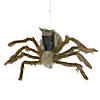 24&quot; Brown Floating Spider with LED Eyes Halloween Decoration Image 4