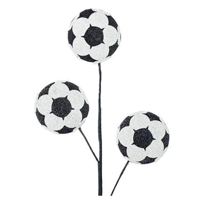 24" Glitter Soccer Ball Spray Image 1