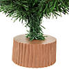 24" Mini Pine Medium Artificial Christmas Tree  Unlit Image 3