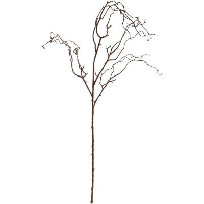 24-Pack: Natural Brown Twig Branch Image 1