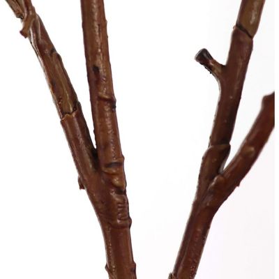 24-Pack: Natural Brown Twig Branch Image 1